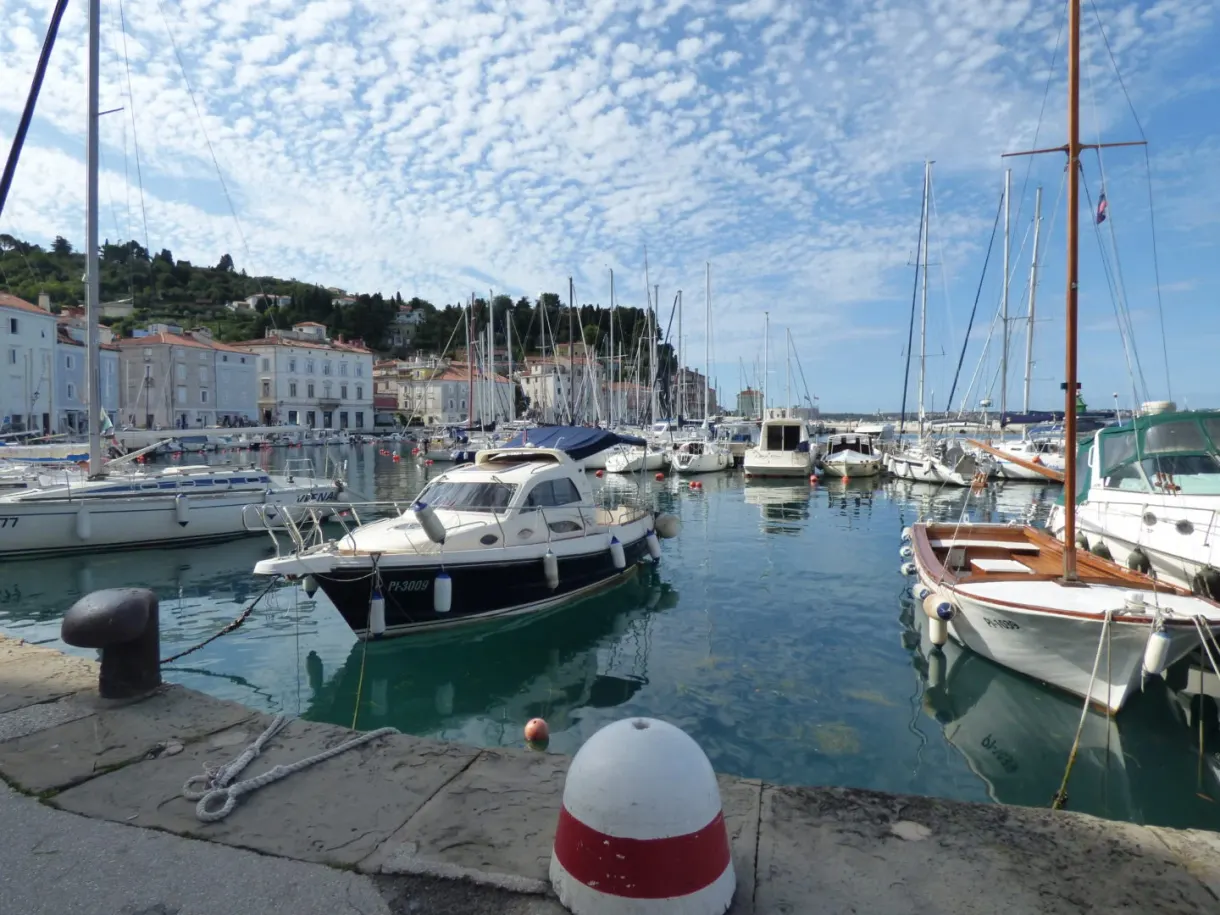 Bittes d'amarrage et vedettes le long du ponton de béton