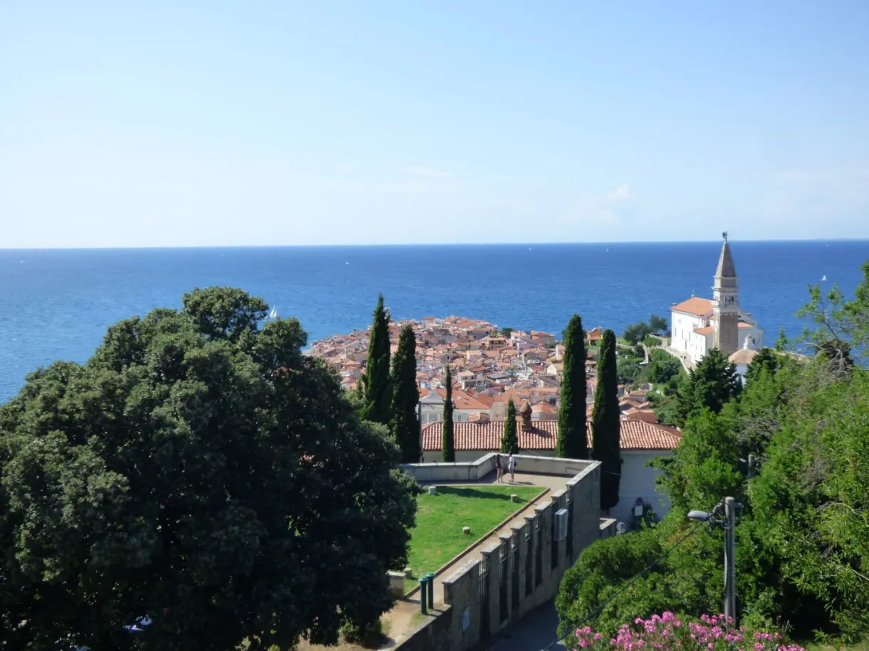 Toits de la vieille ville et mer aperçus derrière un grand arbre
