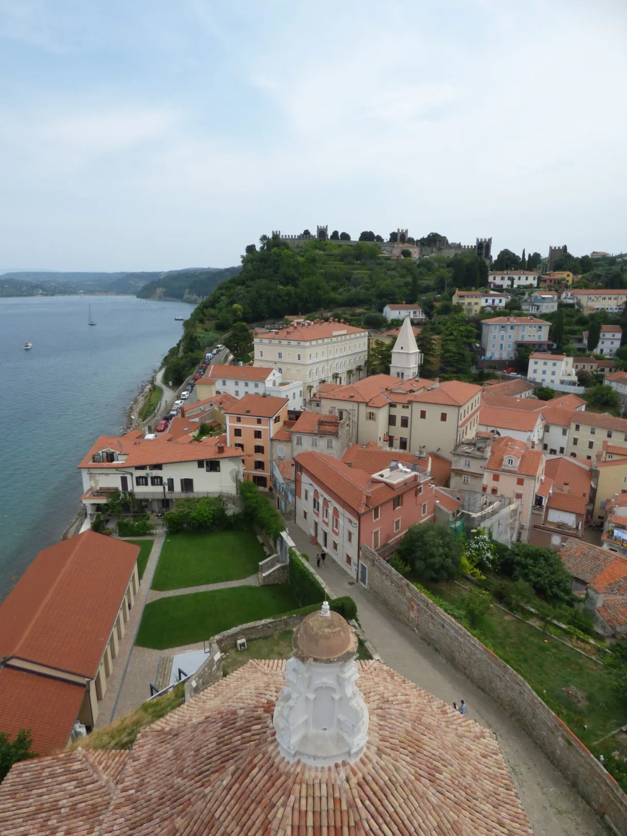 Toits et colline boisée surplombant la baie