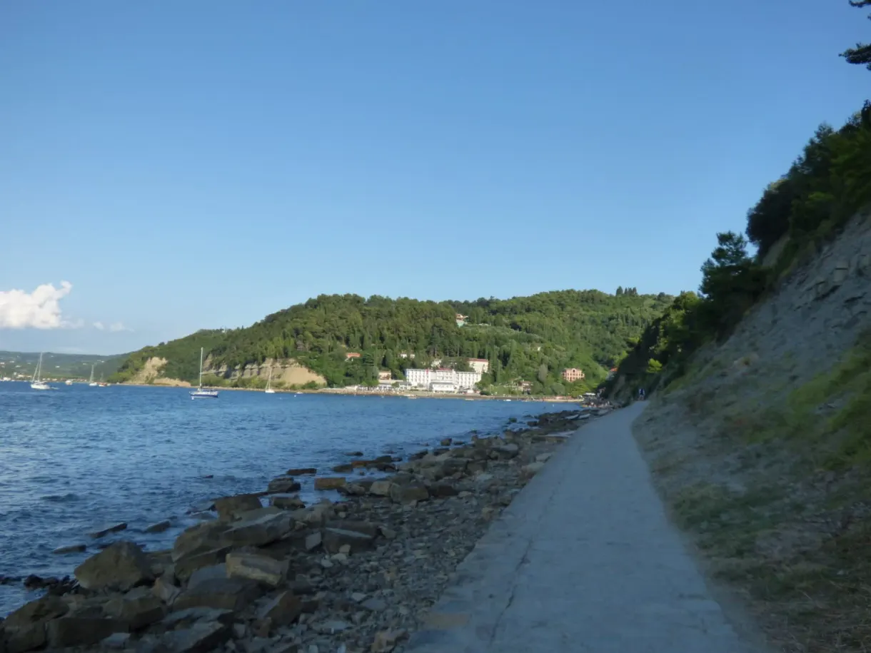 Sentier littoral filant vers une crique boisée