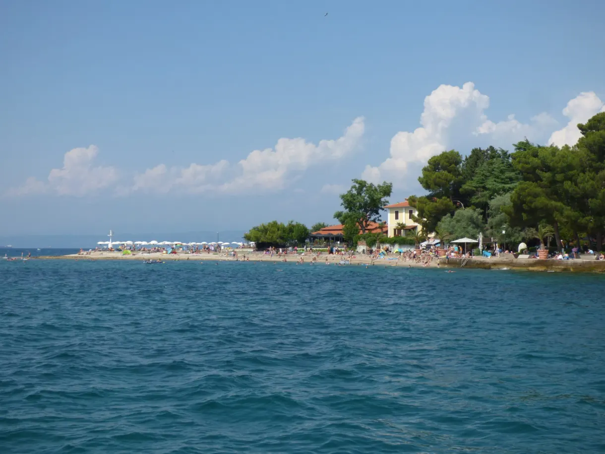 Longue plage bordée de pins vue depuis la mer