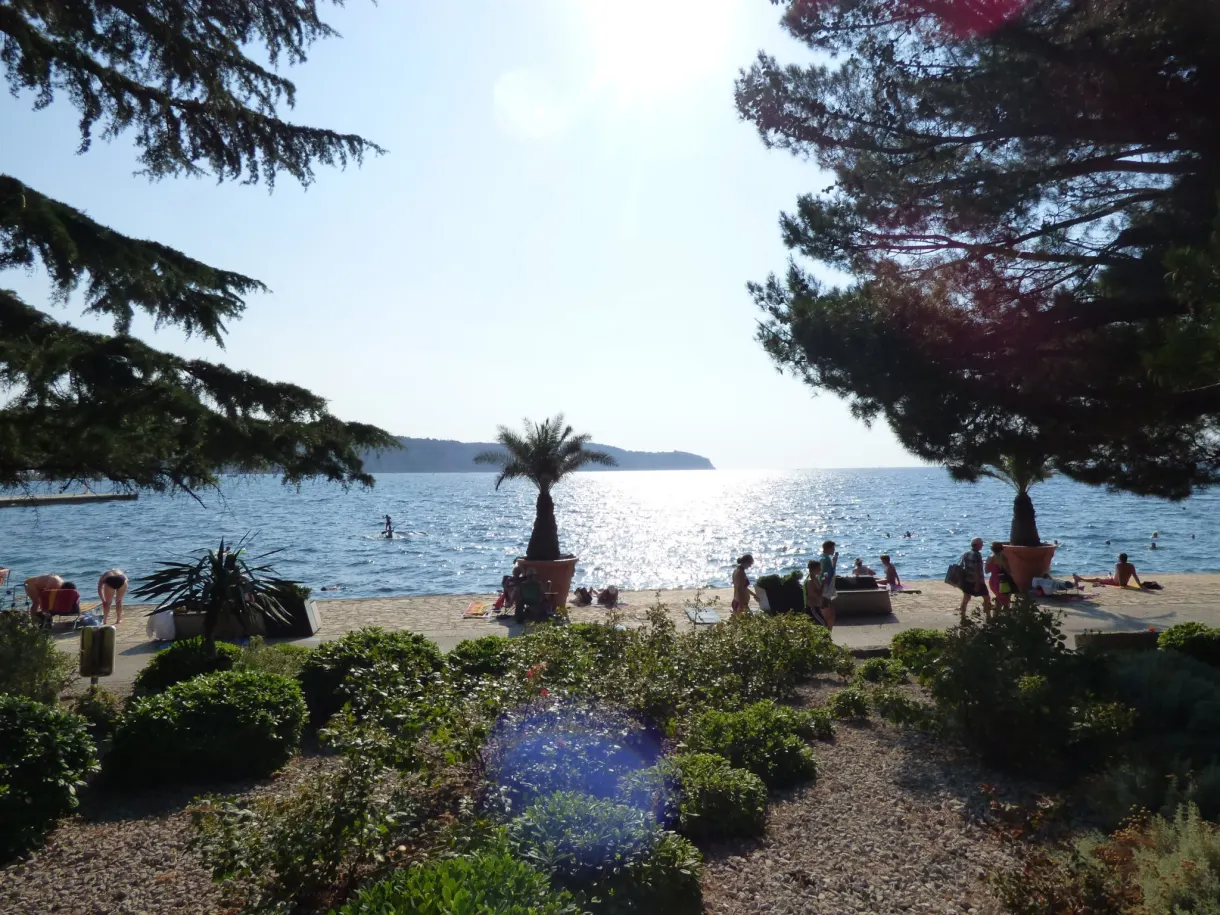 Jardin fleuri ouvrant sur une plage et ses pins parasols