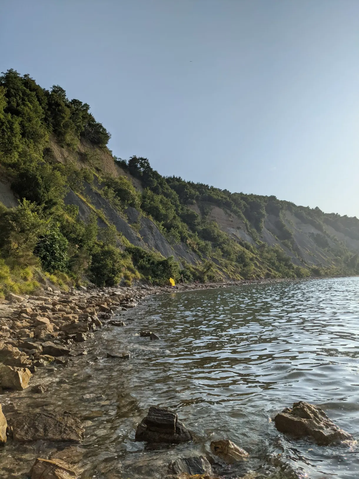 Falaise striée de flysch tombant droit dans l'eau