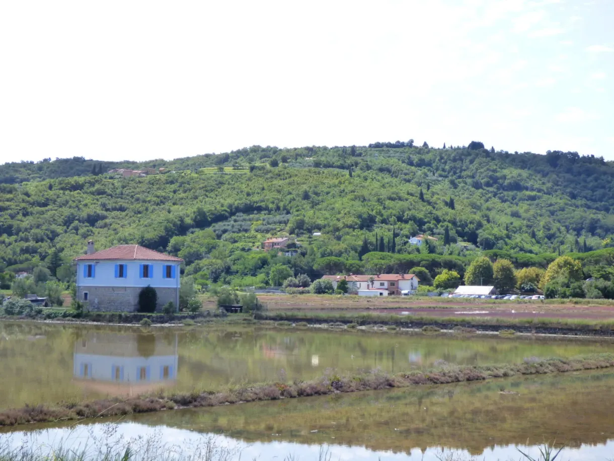 Maison bleue de saunier reflétée dans un bassin calme