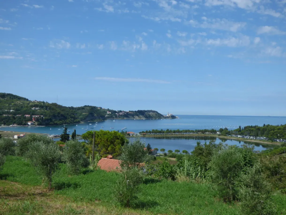 Baie fermée par une langue de terre, vue depuis les oliviers
