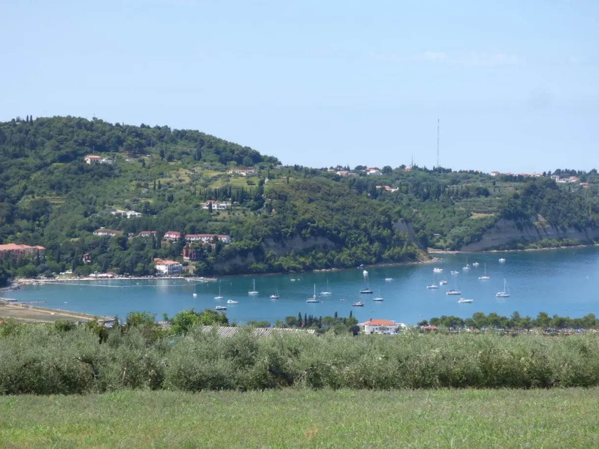 Voiliers mouillés dans la baie au pied des collines habitées