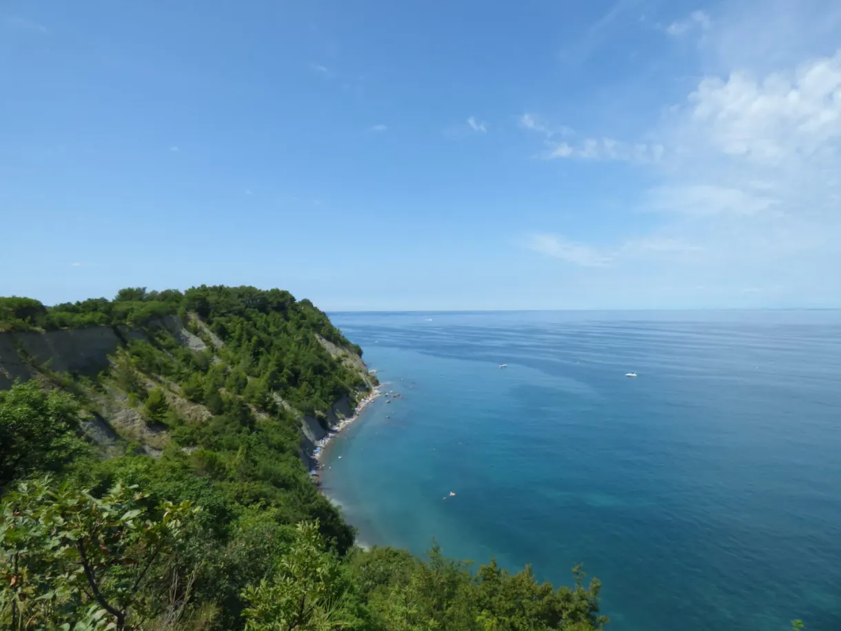 Falaise couverte de verdure plongeant dans une eau turquoise