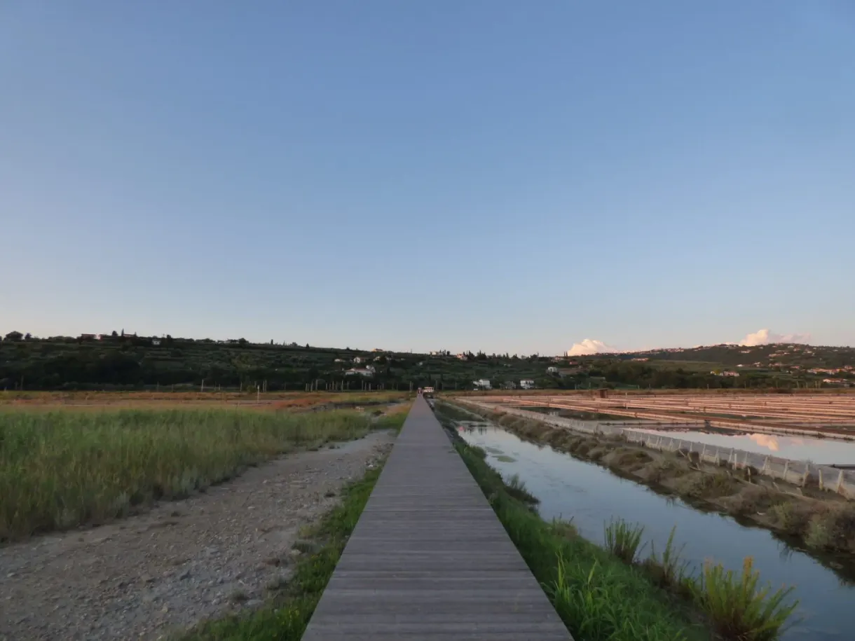 Chemin de terre serpentant entre deux canaux des salines