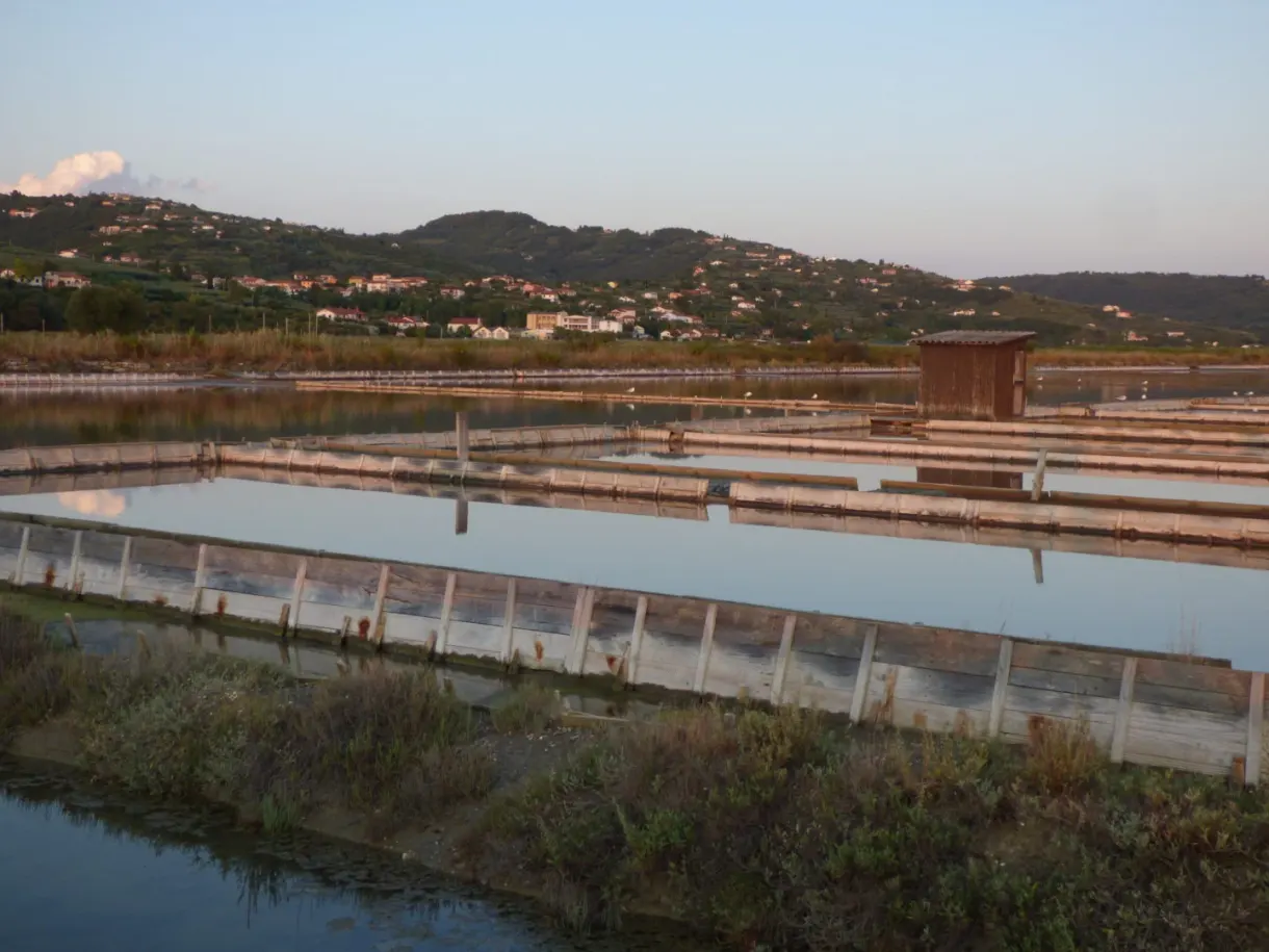 Damier des bassins de sel sous les collines habitées