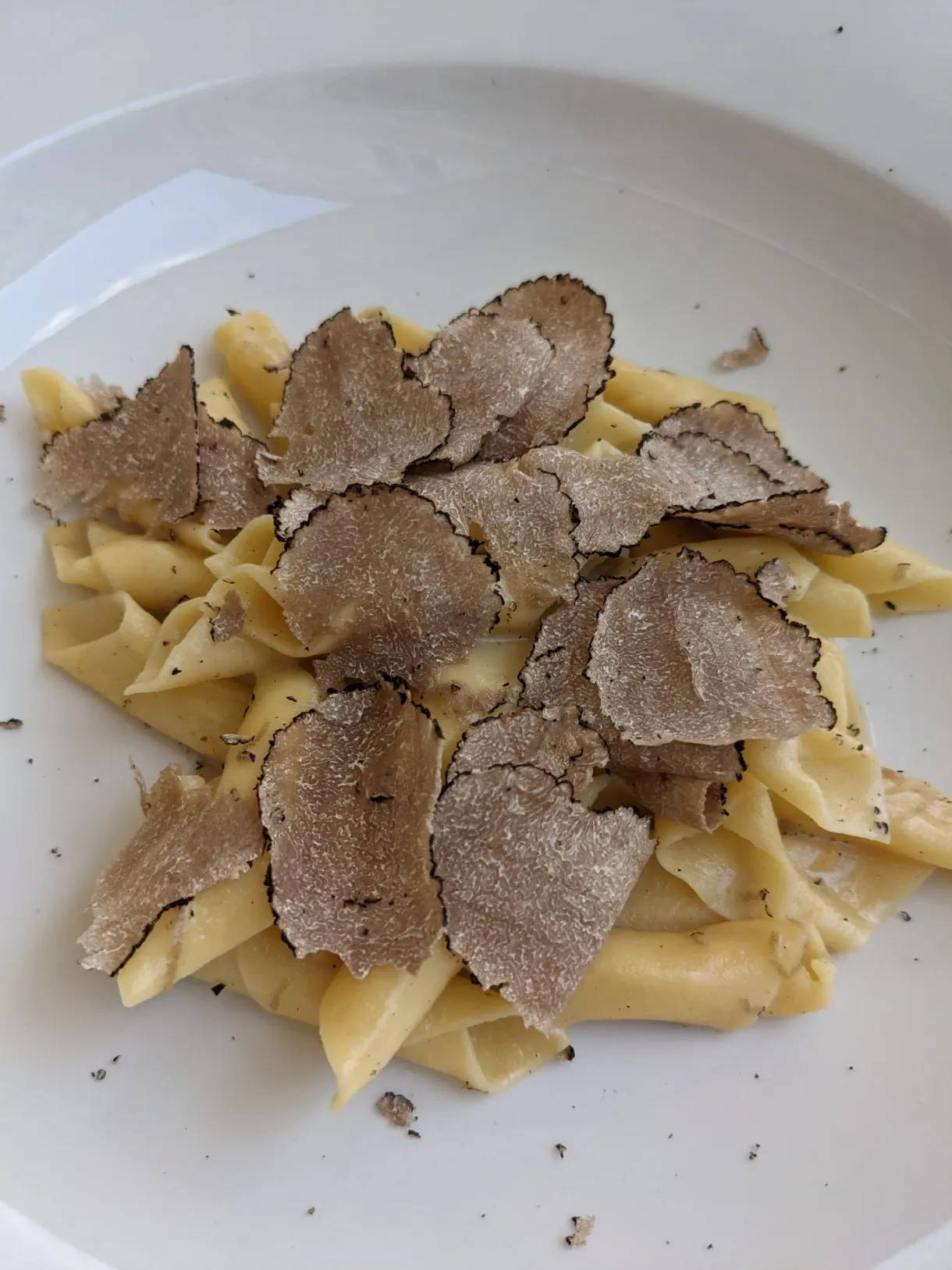 Pâtes fraîches sous une pluie de lamelles de truffe
