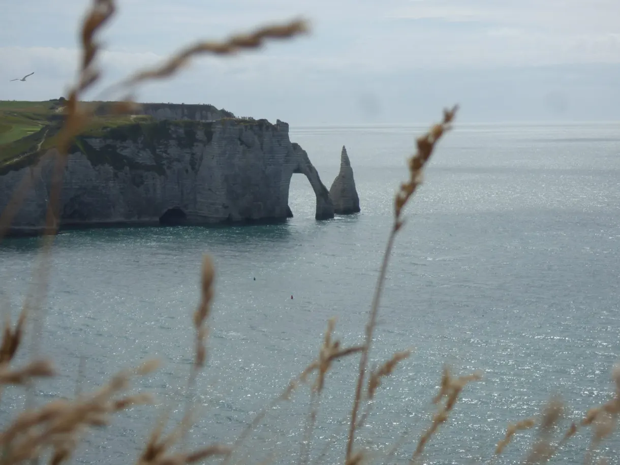 Arche et aiguille de craie derrière des épis d'herbe sèche