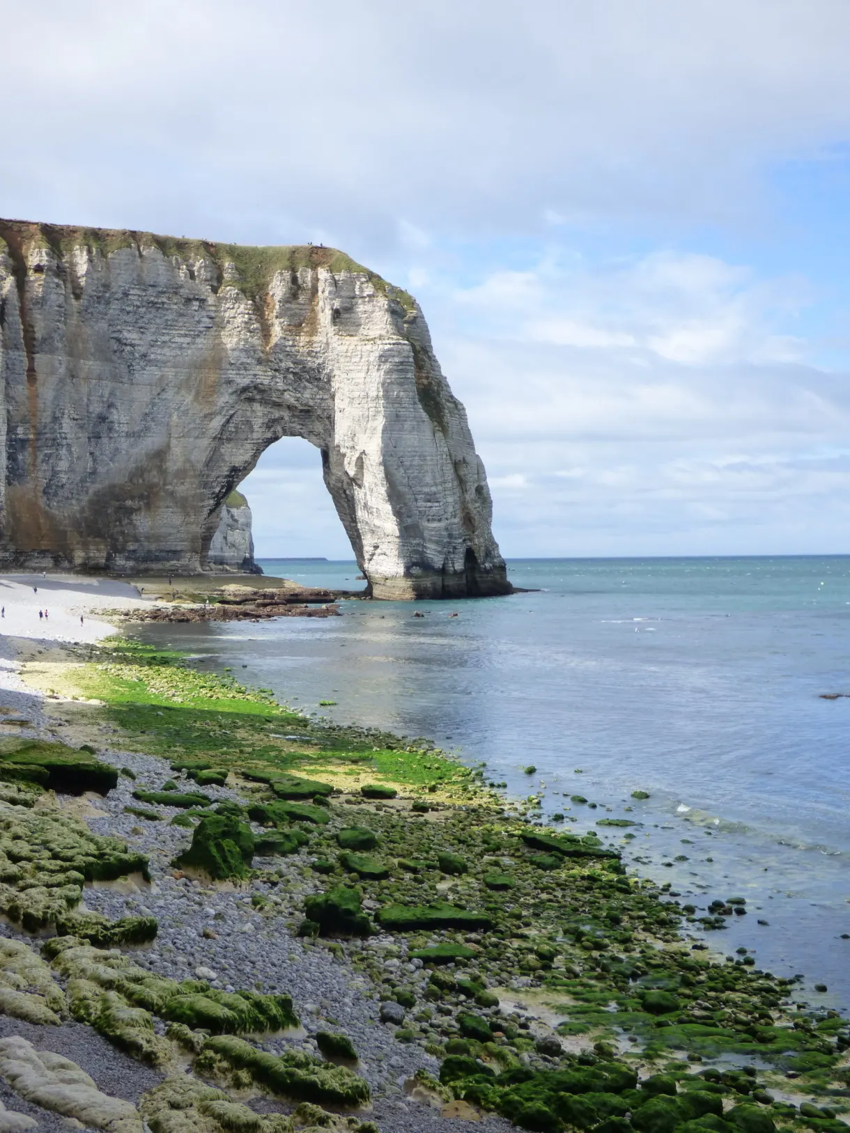 Rochers tapissés d'algues vertes devant l'arche d'Étretat