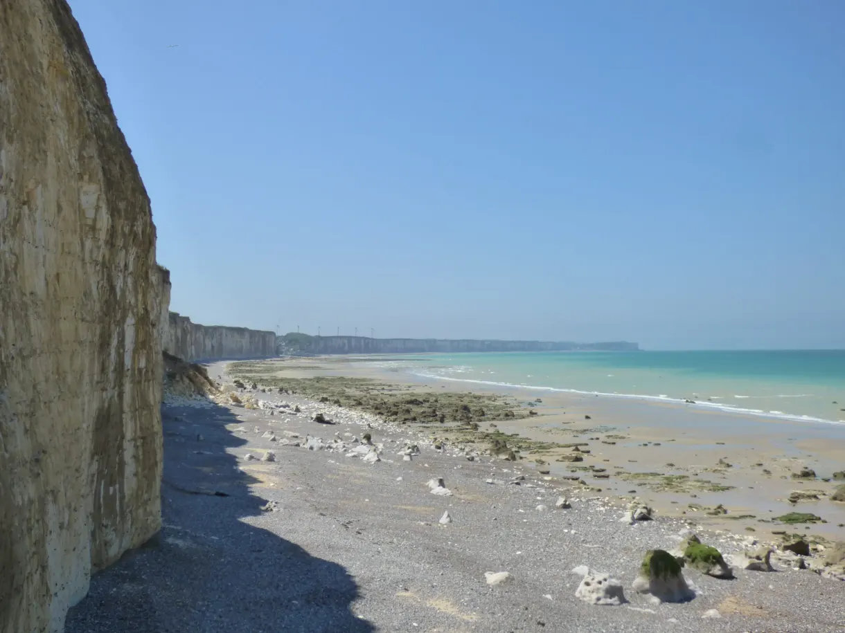 Falaise crayeuse plongeant sur l'estran caillouteux à marée basse