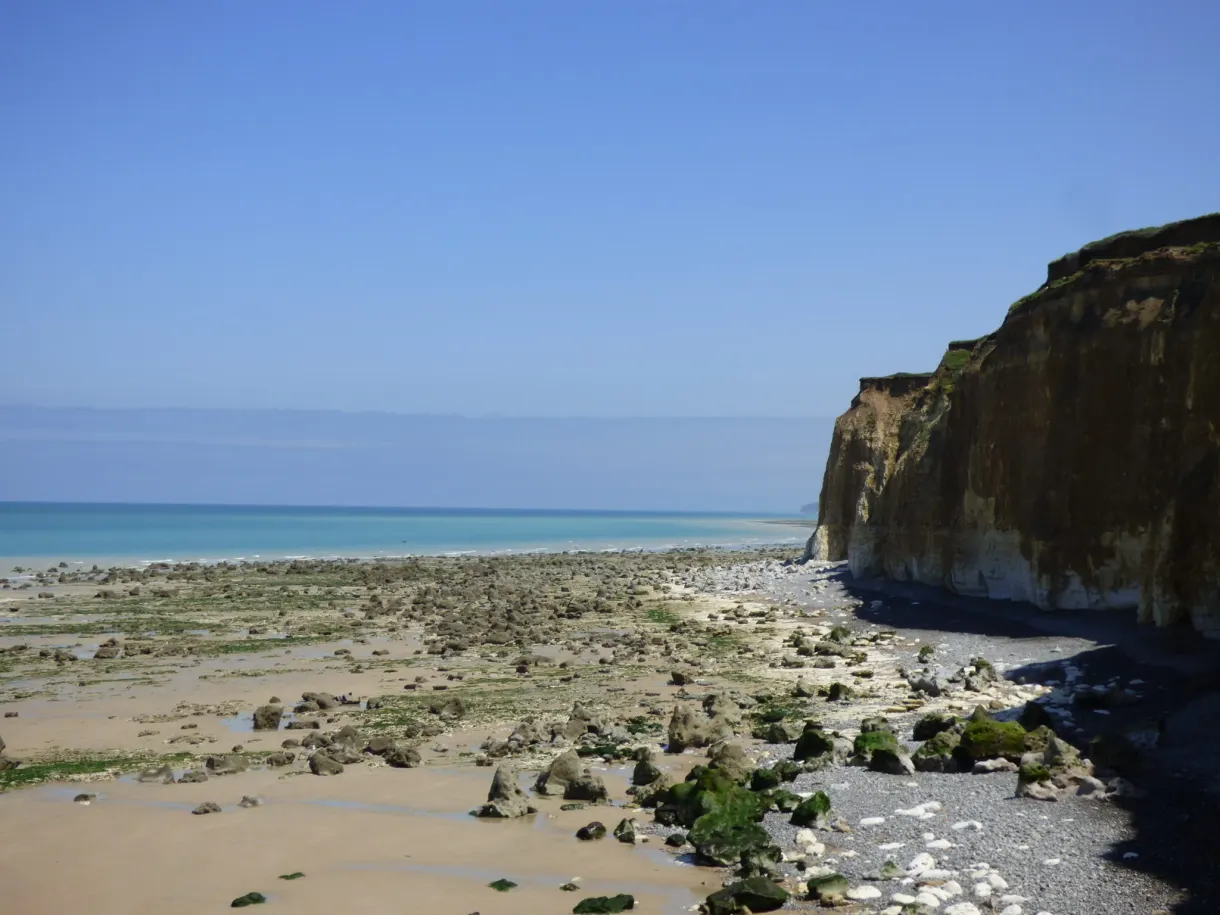 Rochers couverts d'algues découverts par la mer à Sotteville