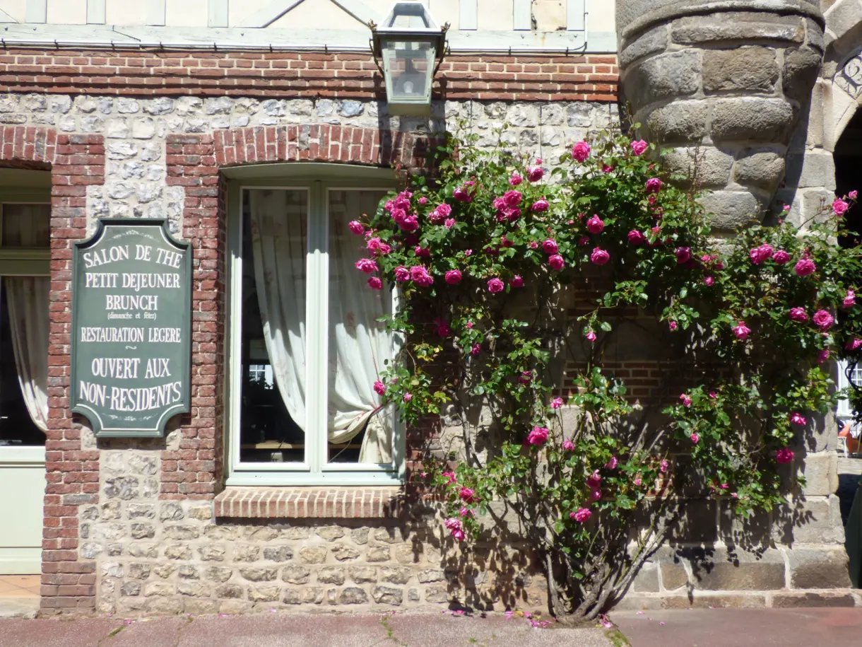 Enseigne de salon de thé sous des rosiers rouges en fleurs