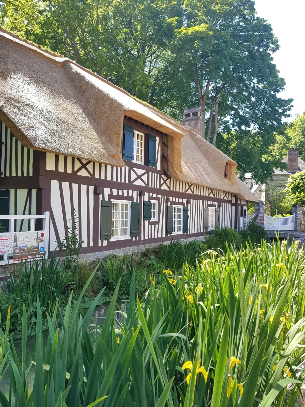 Chaumière normande à colombages devant un massif d'iris jaunes