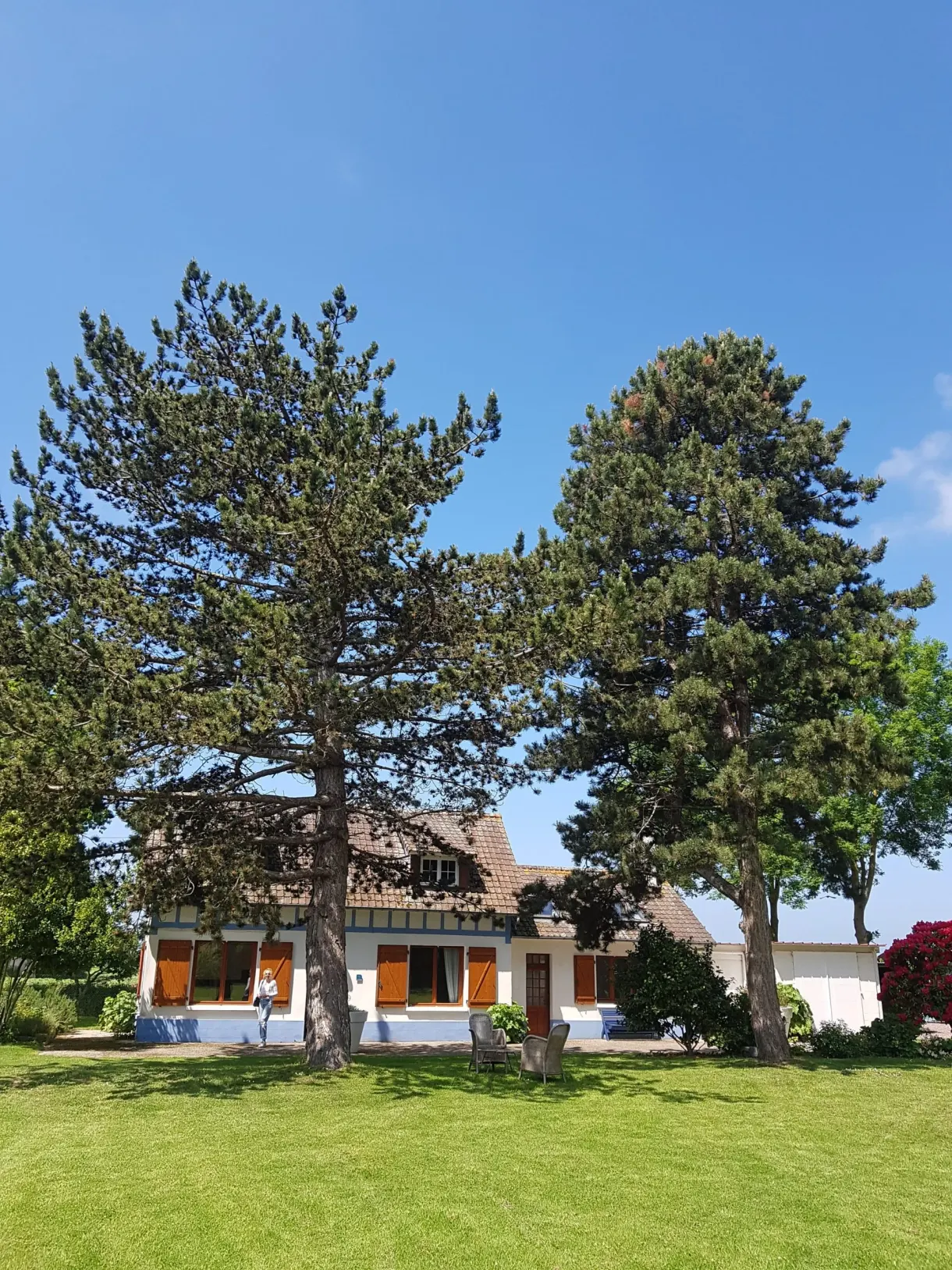 Longère blanche et sa pelouse abritée par de grands pins
