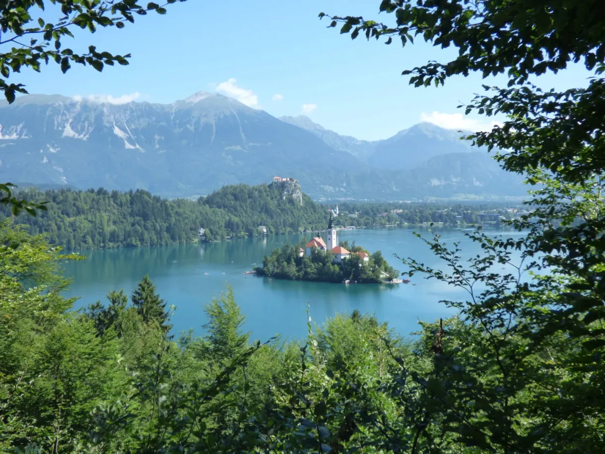 Panorama sur le lac encadré par les feuillages
