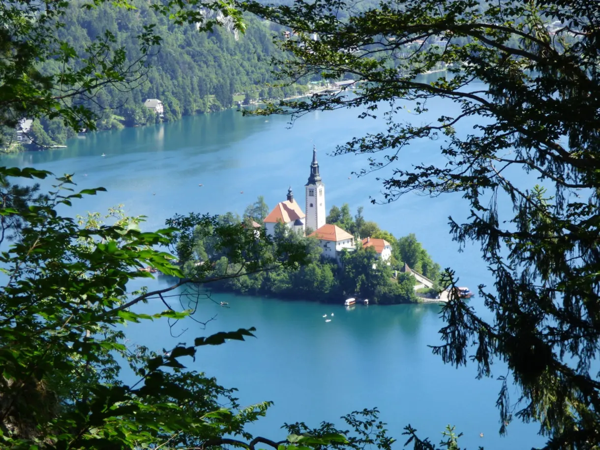 Île de Bled vue de haut entre les branches