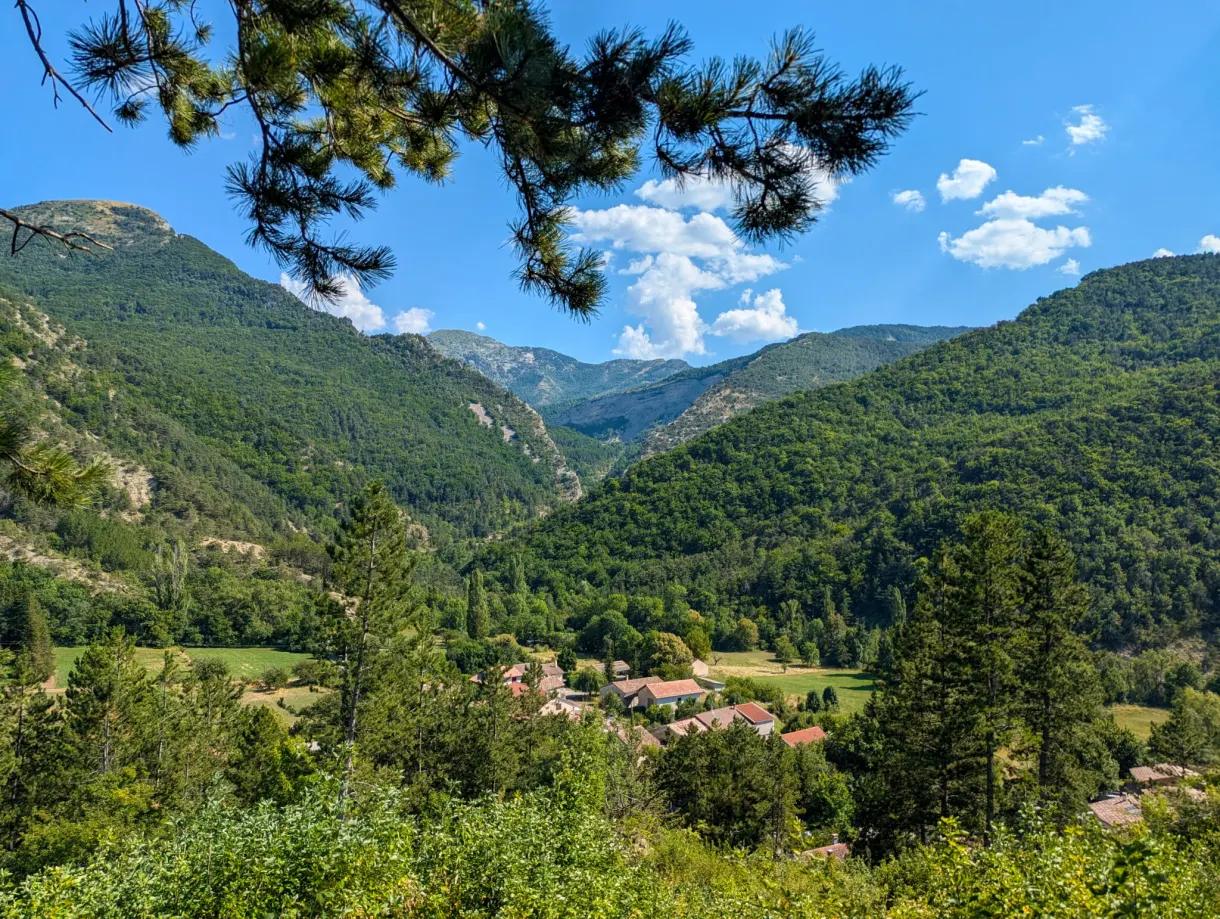 Vallée verdoyante et sommets encadrés par des branches de pin