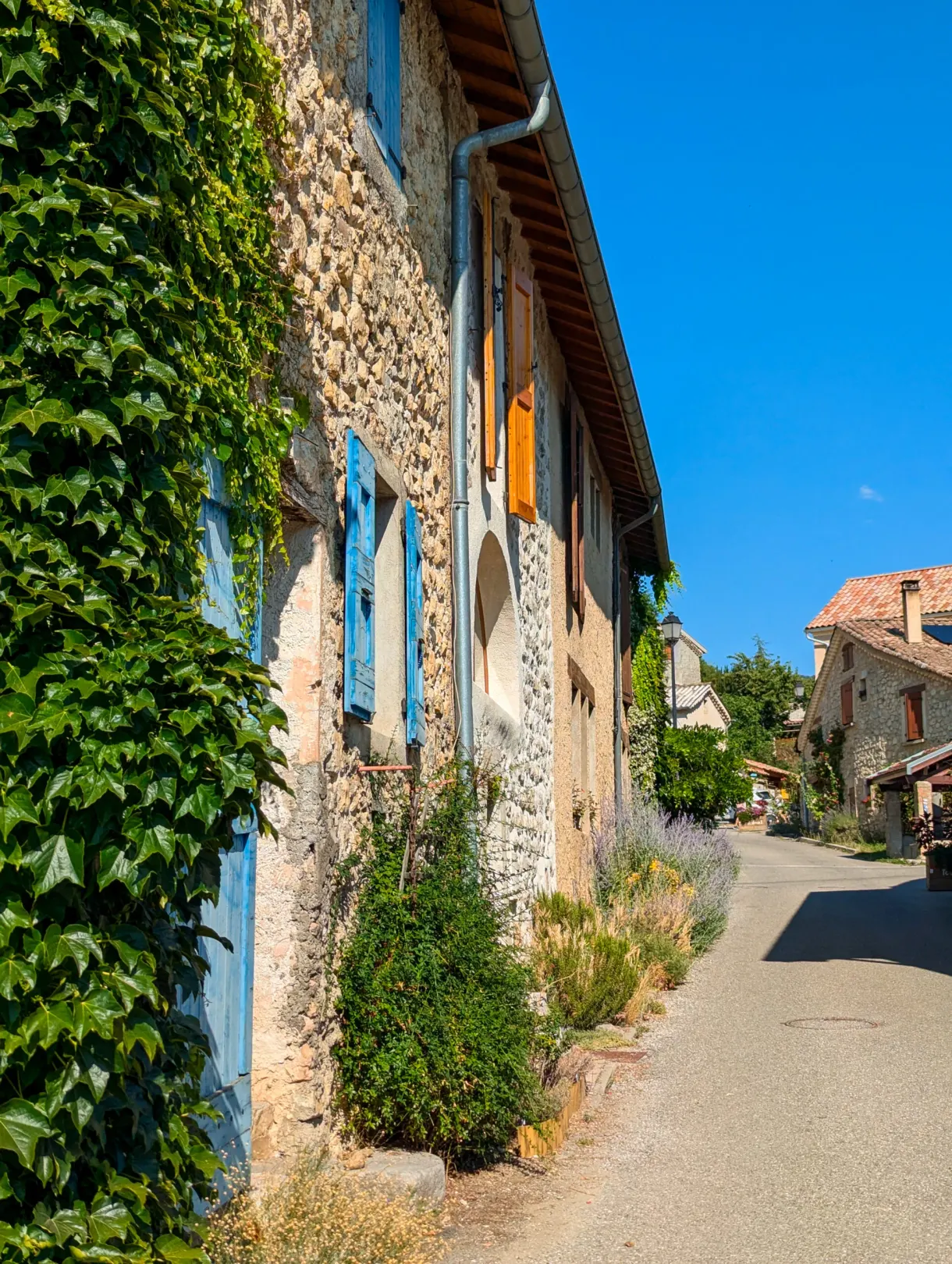 Mur couvert de vigne vierge le long d'une ruelle de hameau