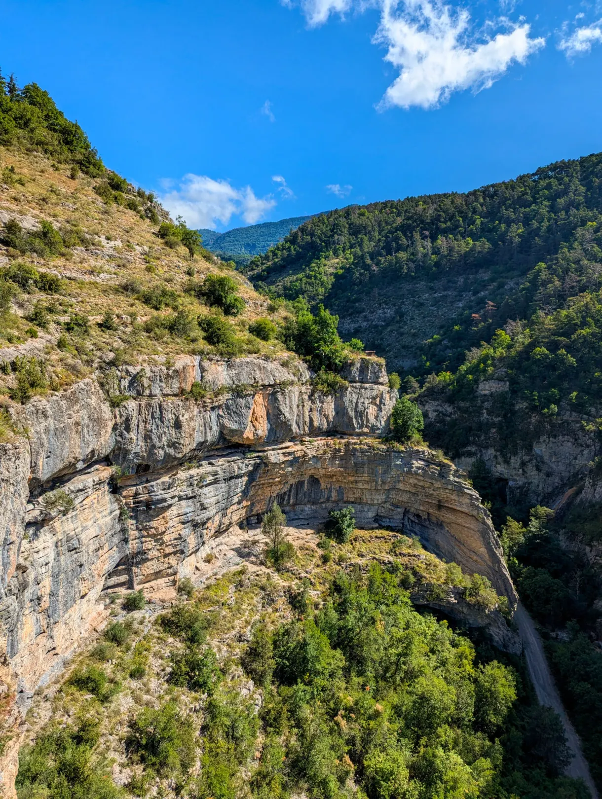 Gorge encaissée entre falaises calcaires et versants boisés