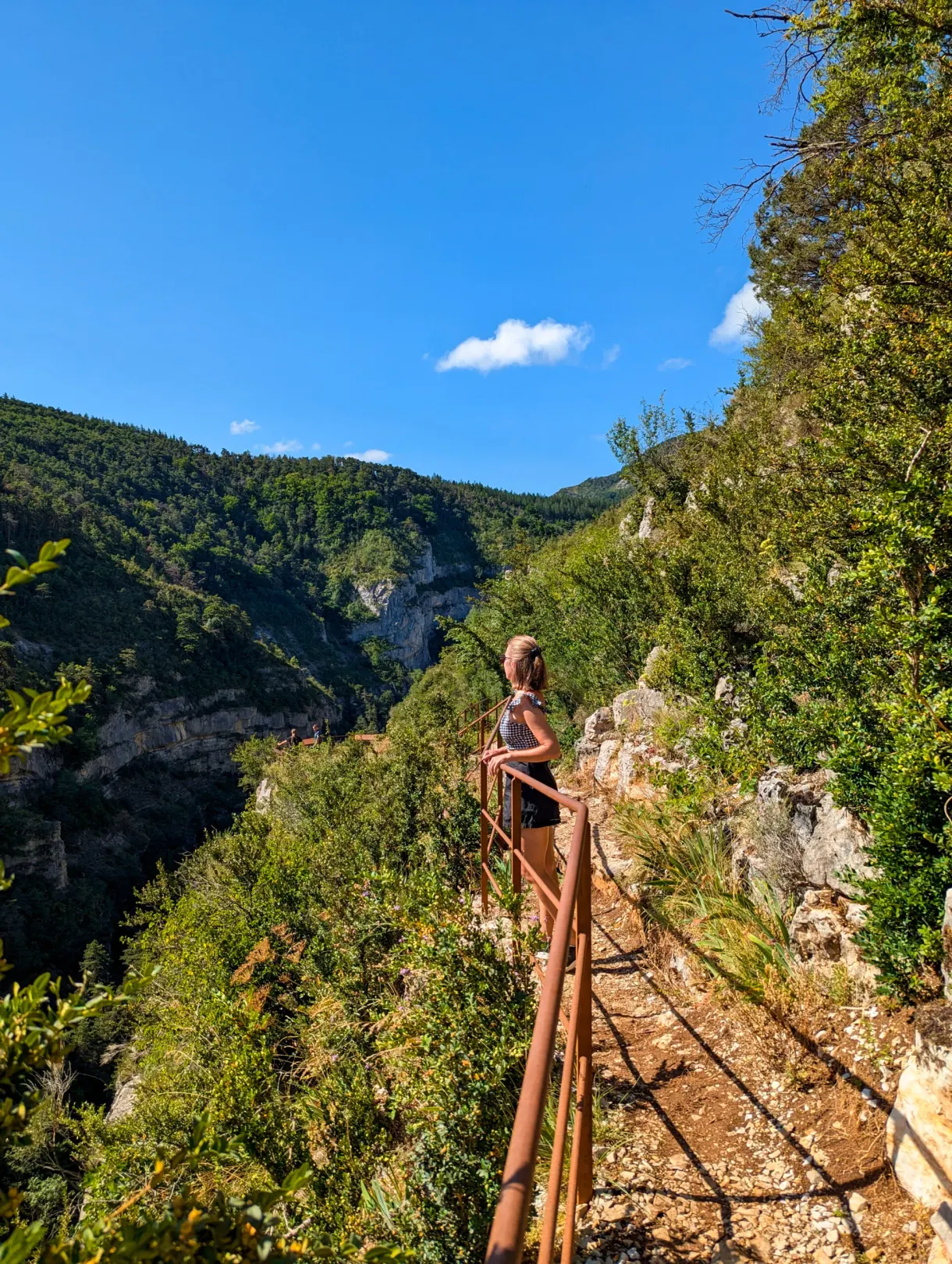 Passerelle à rambarde surplombant la gorge boisée