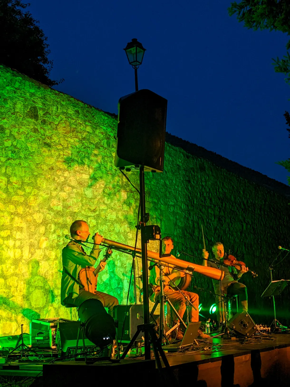 Musiciens éclairés de vert lors d'un concert en plein air