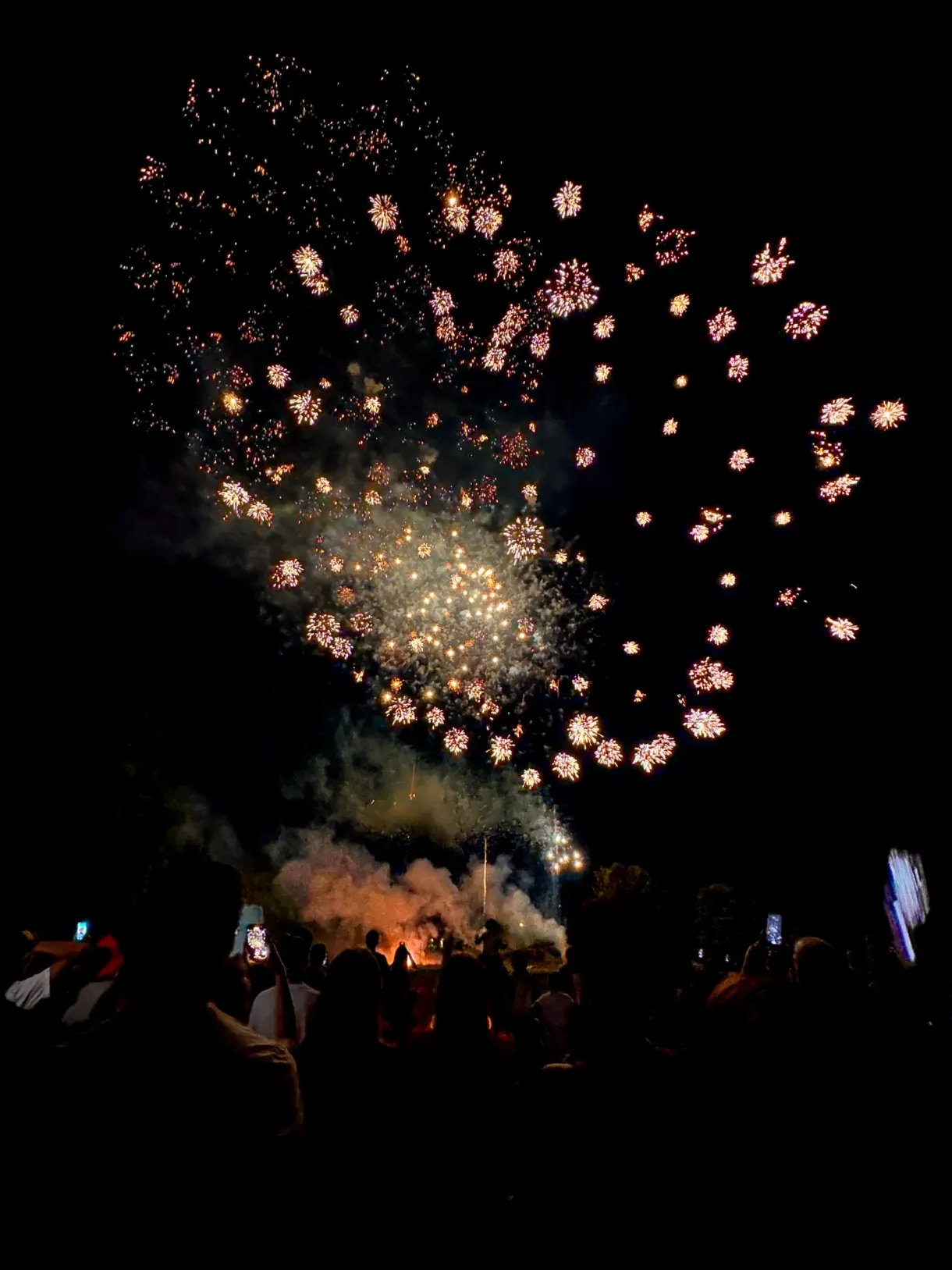 Feu d'artifice éclatant au-dessus de la foule dans la nuit