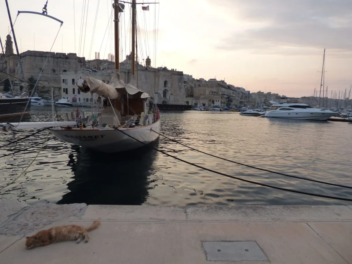Chat roux endormi sur le quai devant une goélette