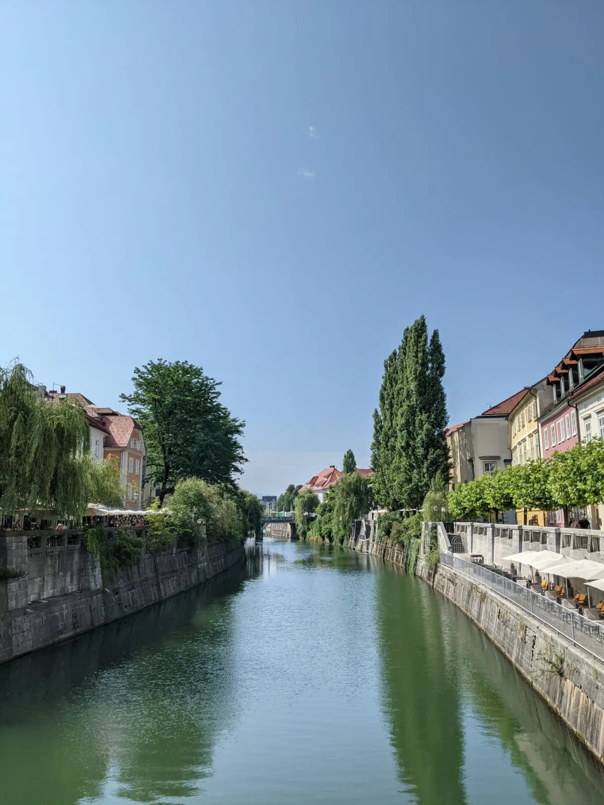 Rivière verte encadrée de saules et de quais déserts au matin