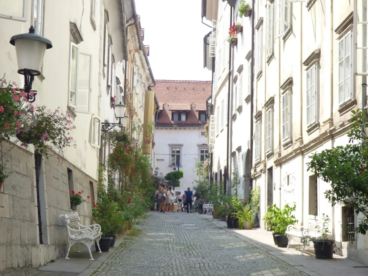 Ruelle pavée en pente avec banc blanc et bougainvillées