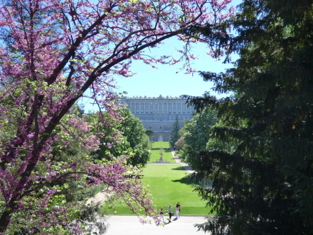 Arbre en fleurs roses et allée de pelouse menant au palais