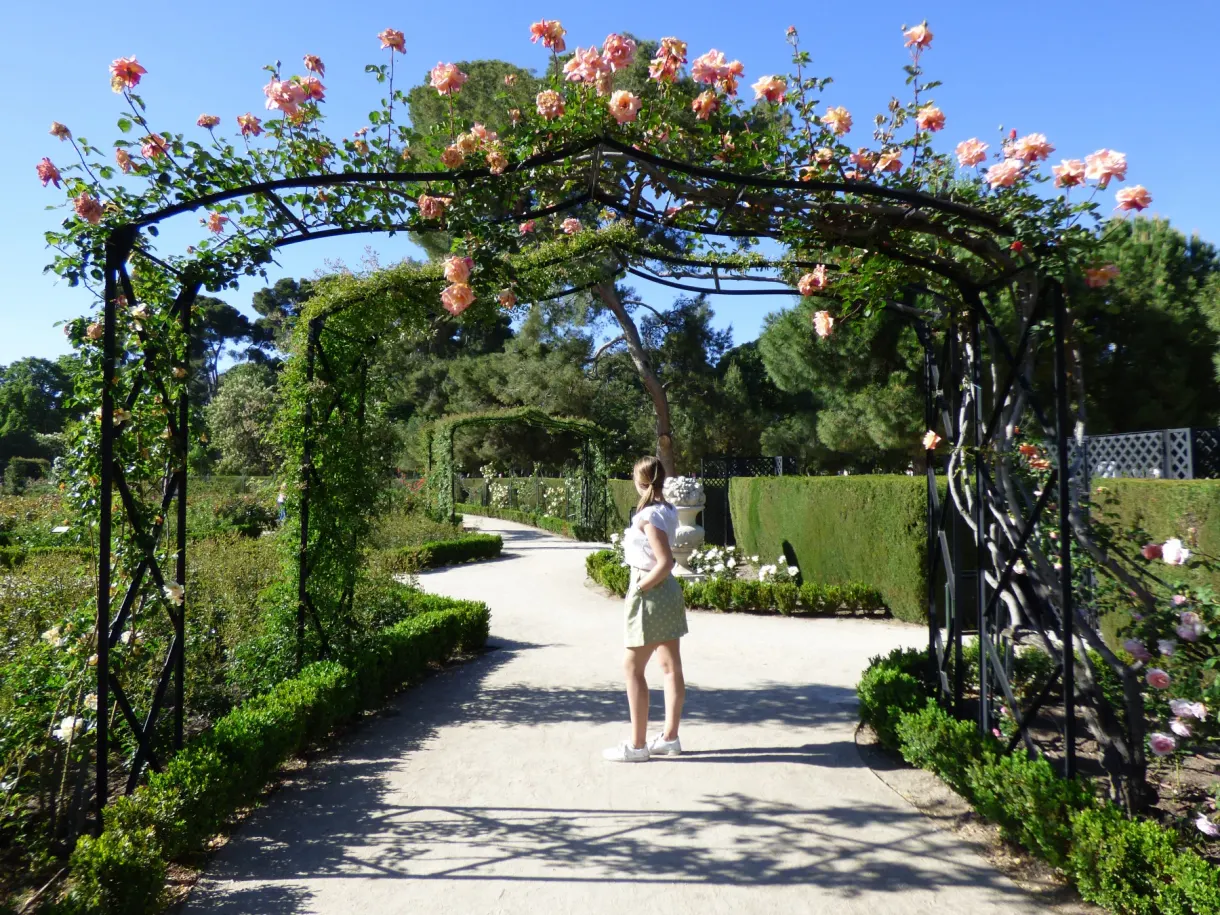 Pergola de roses ouvrant sur une allée de gravier
