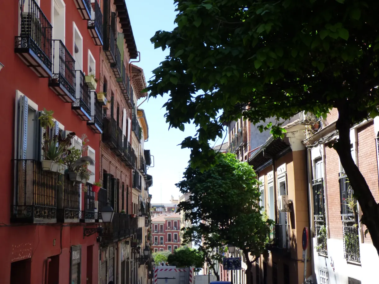 Arbre vert débordant sur une rue aux façades rouges