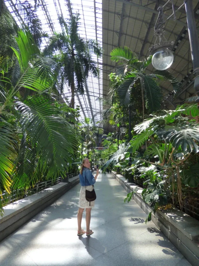 Jardin tropical abrité sous une grande verrière