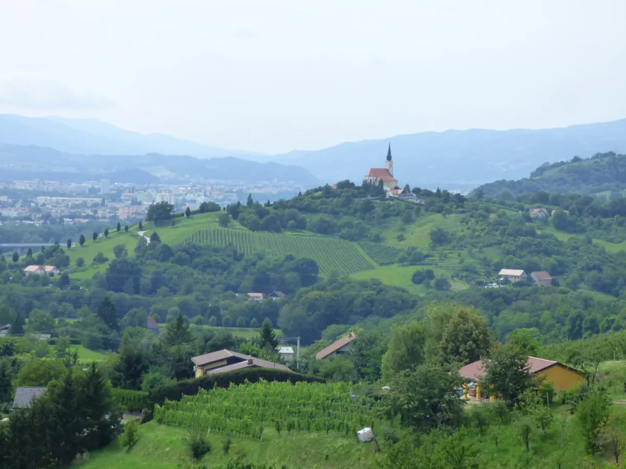 Collines couvertes de vignes et de fermes isolées