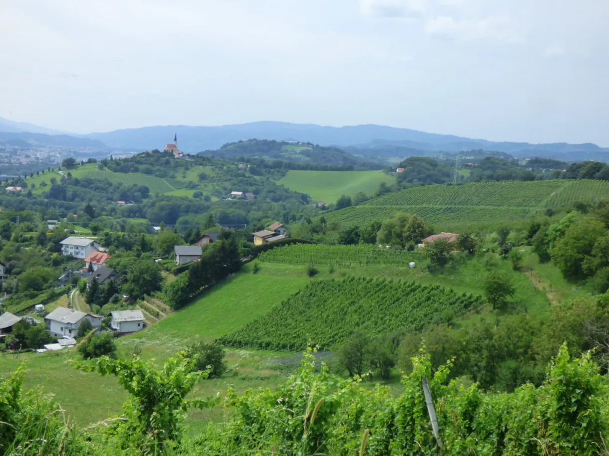 Vignobles en pente et villages dispersés en contrebas