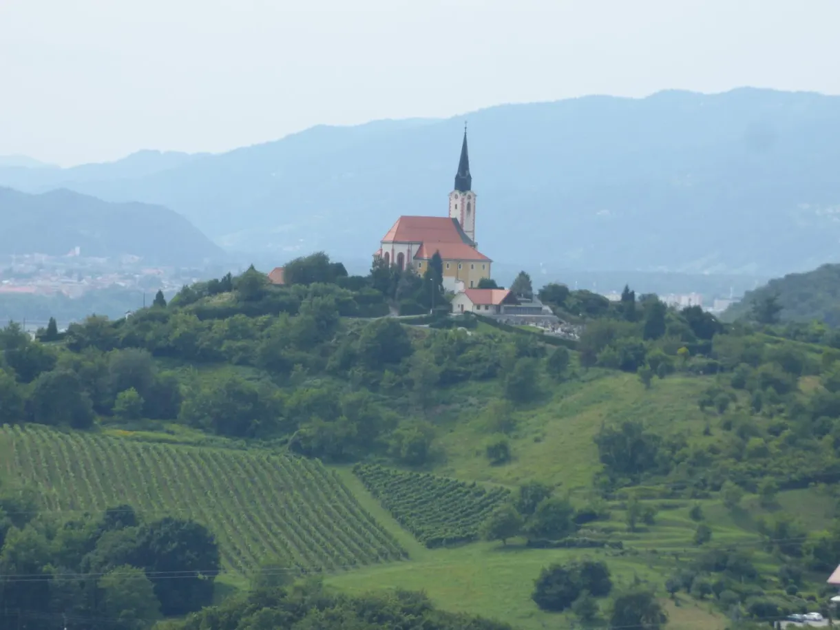 Église perchée sur une colline plantée de vignes