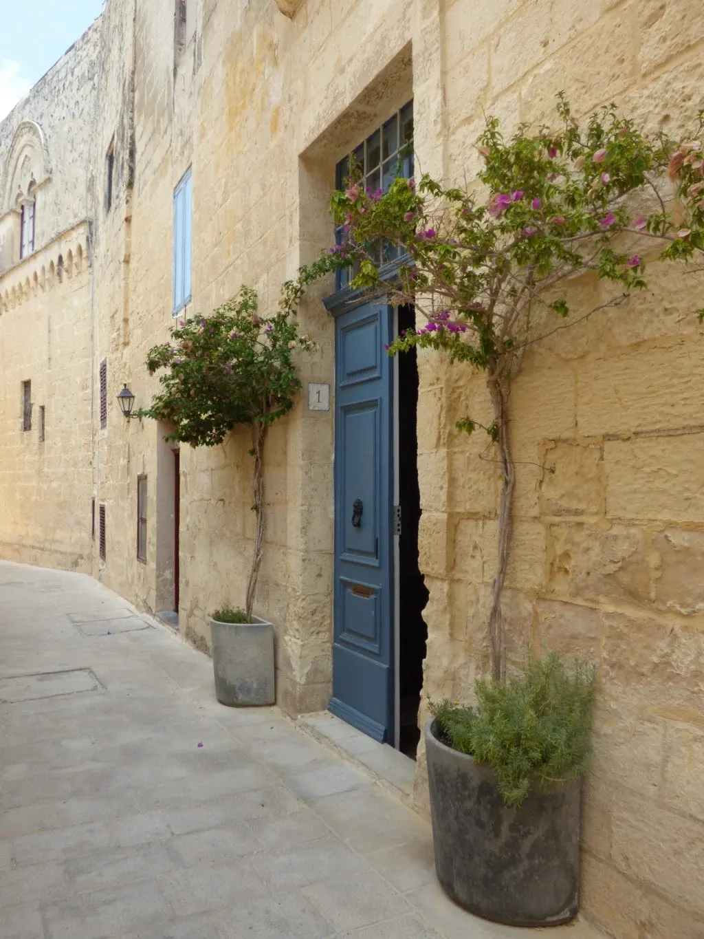 Porte bleue et plantes en pot dans une ruelle étroite