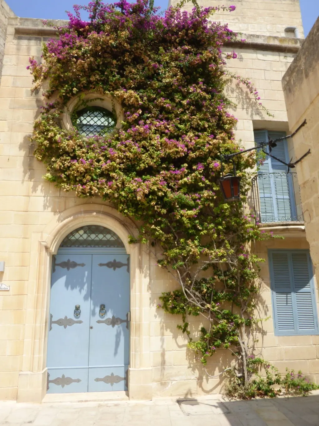 Bougainvillier rose débordant au-dessus d'une porte bleue