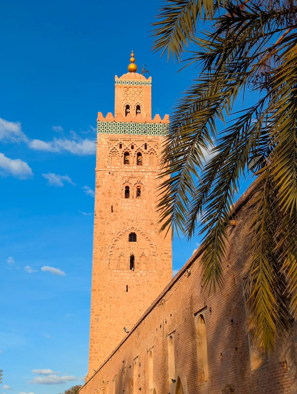 ciel bleu et palmiers avec le haut de la mosquée de la Koutoubia en arrière-plan
