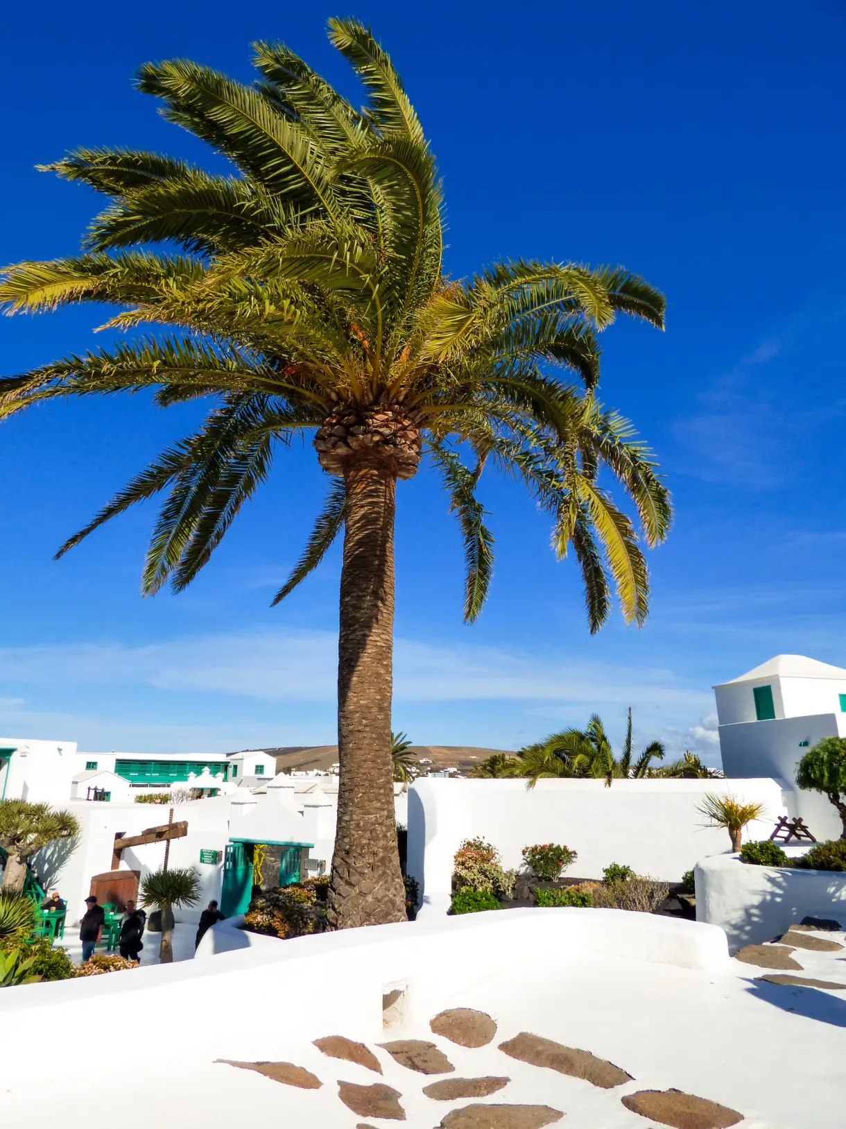 Île plate et lagon turquoise depuis un mirador, titre Lanzarote