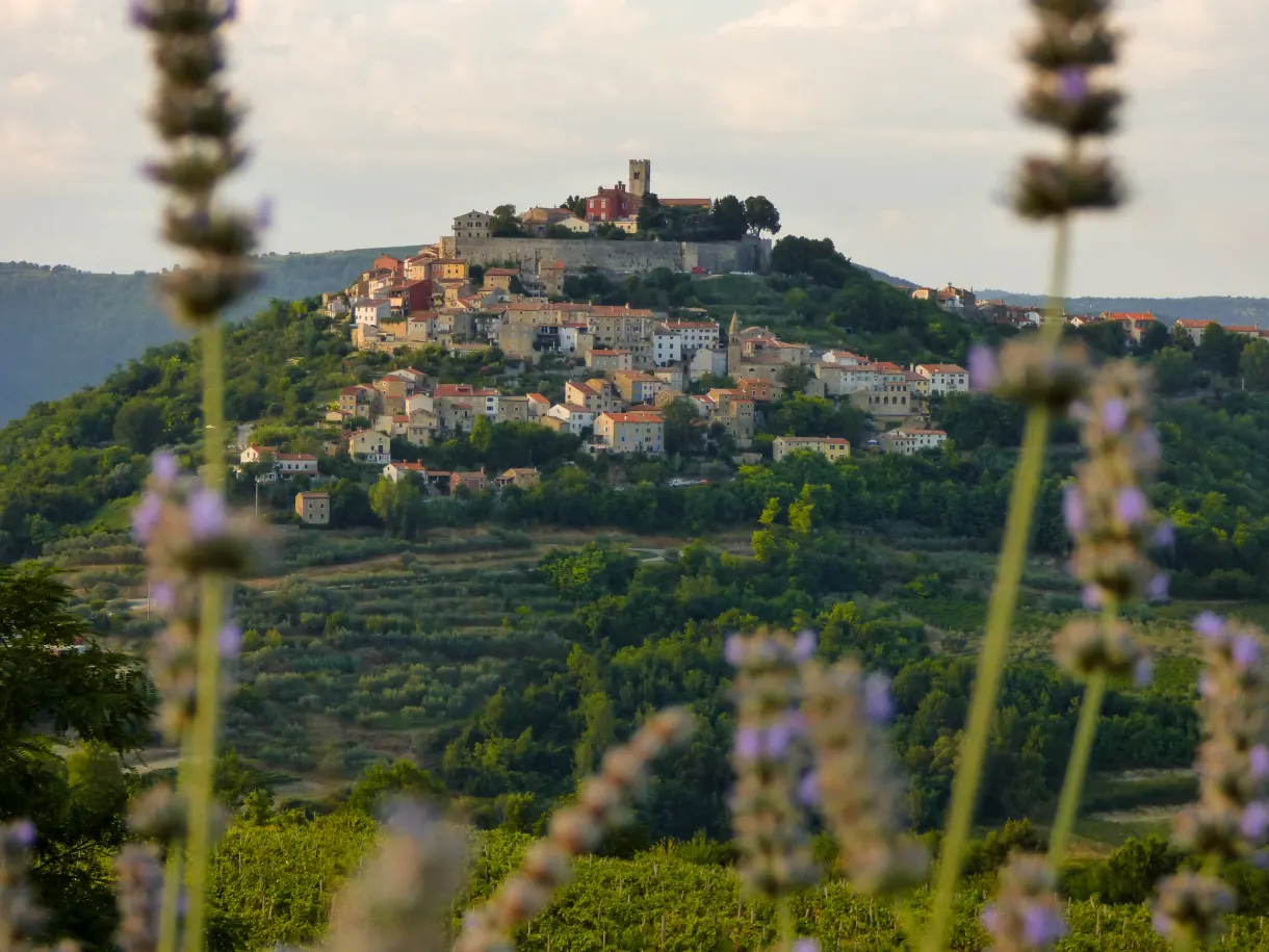 Bandeau Istrie sur le village perché de Motovun au-dessus des vignes