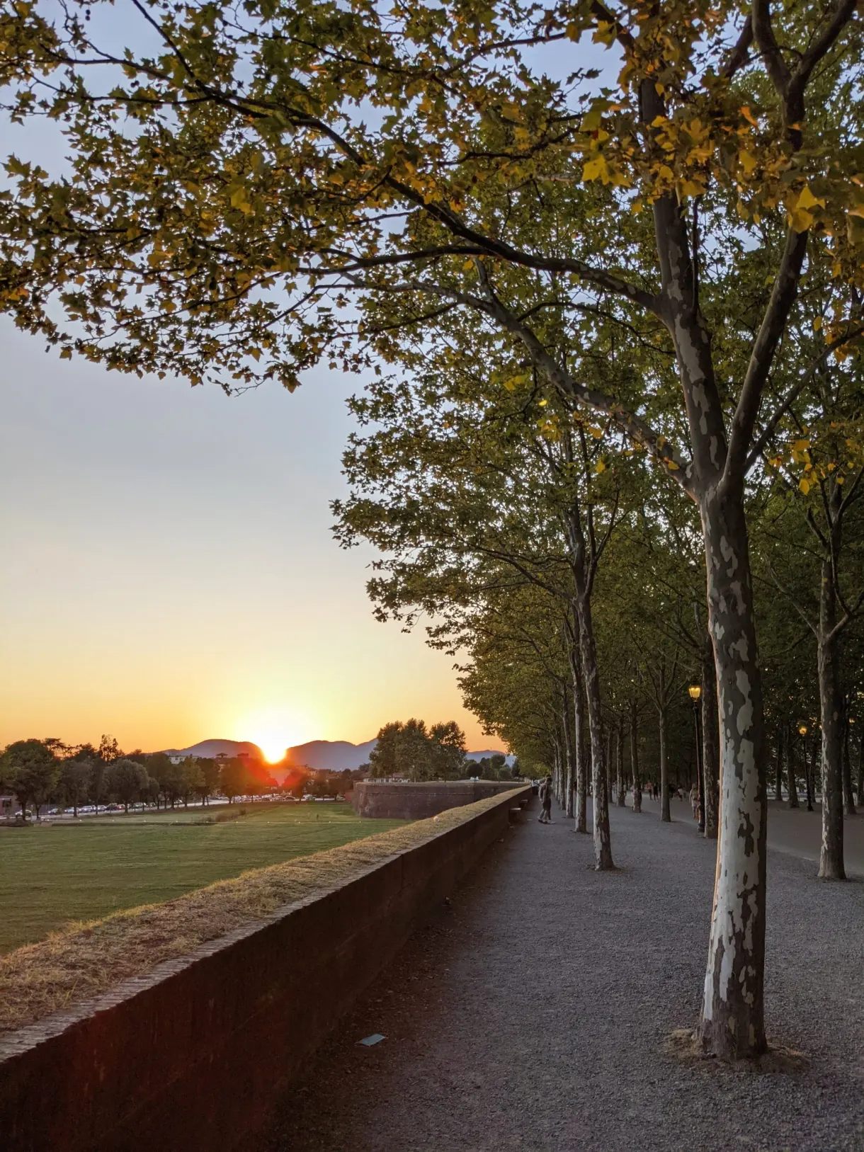Allée d'arbres sur les remparts au soleil couchant