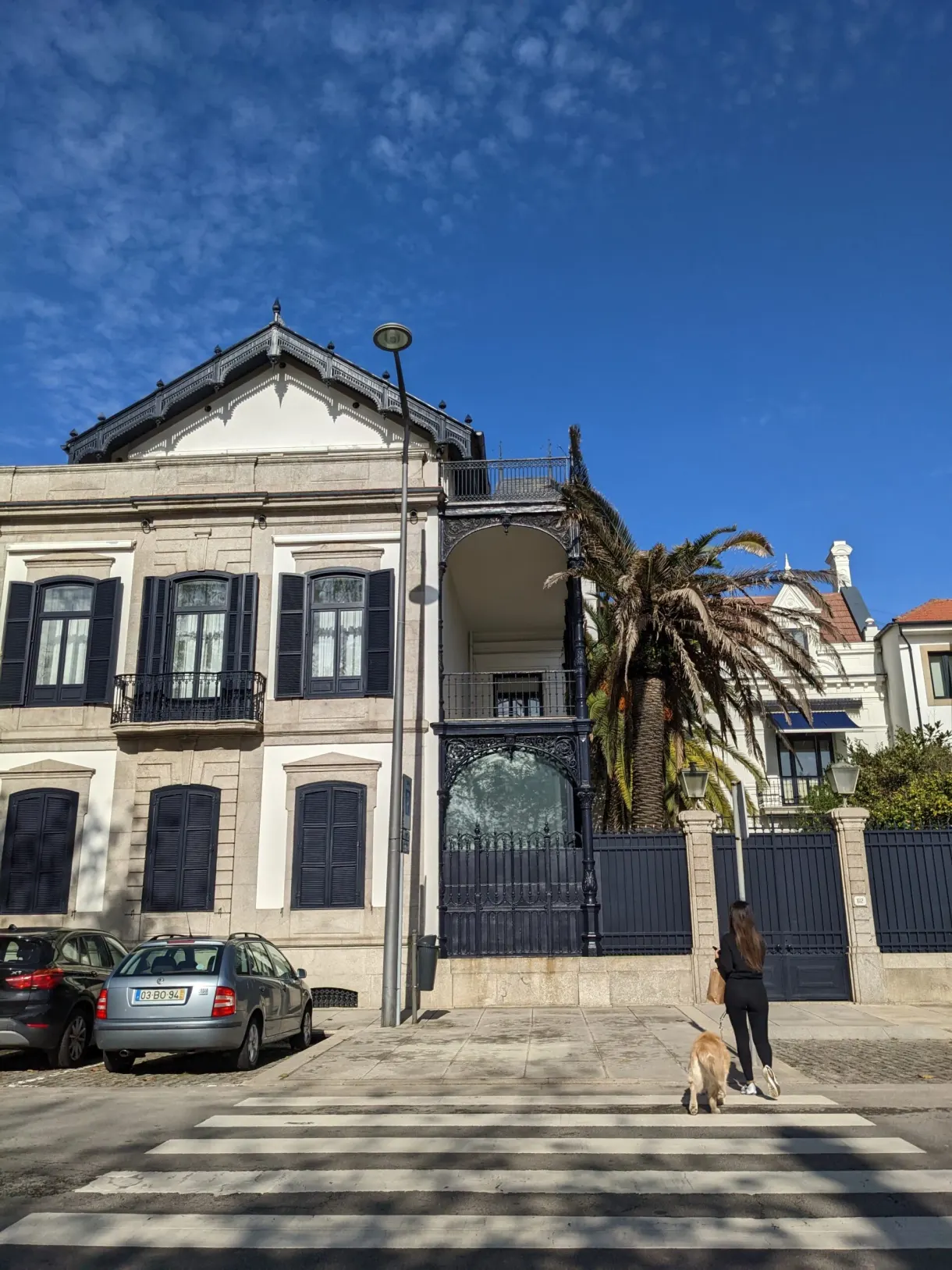 Villa blanche et palmier au bord d'une rue calme