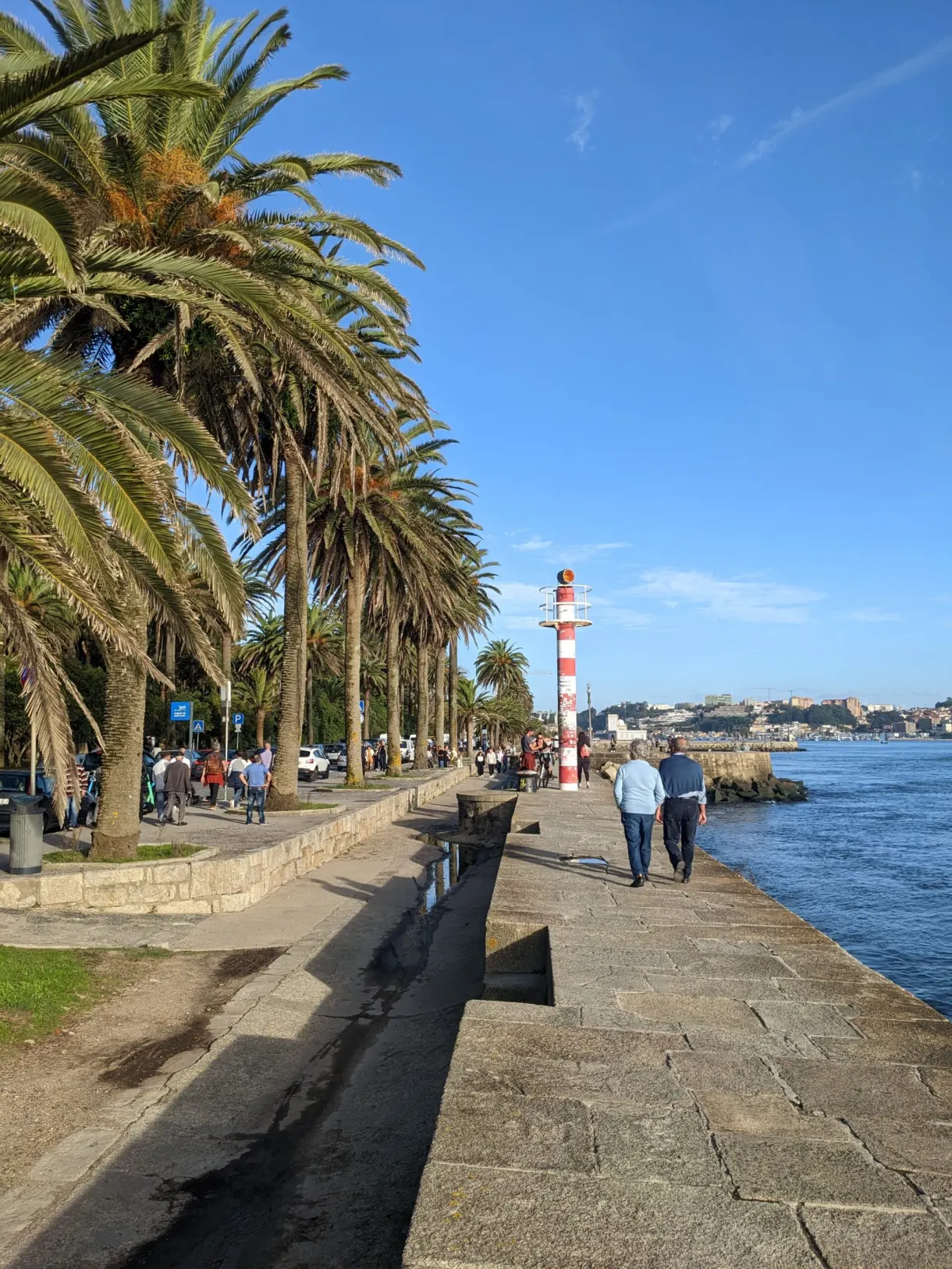Promenade bordée de palmiers menant au phare rayé