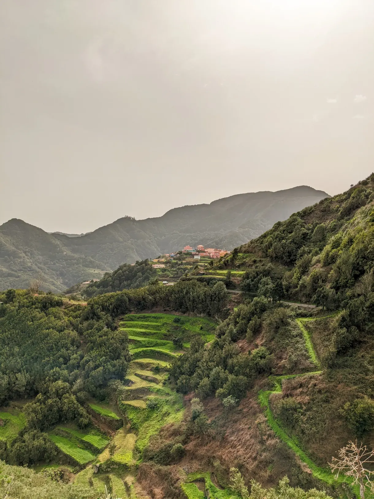 Couverture Le nord de Tenerife sur une vallée verdoyante