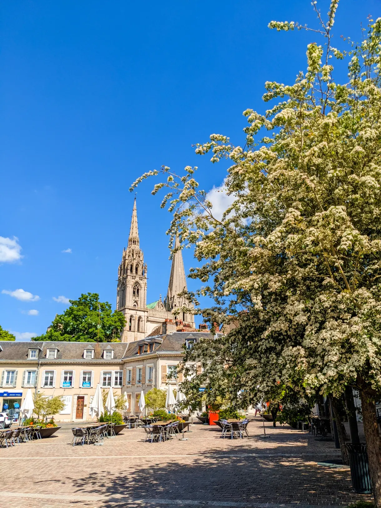 Flèches de la cathédrale derrière un arbre en fleurs et les terrasses de la place