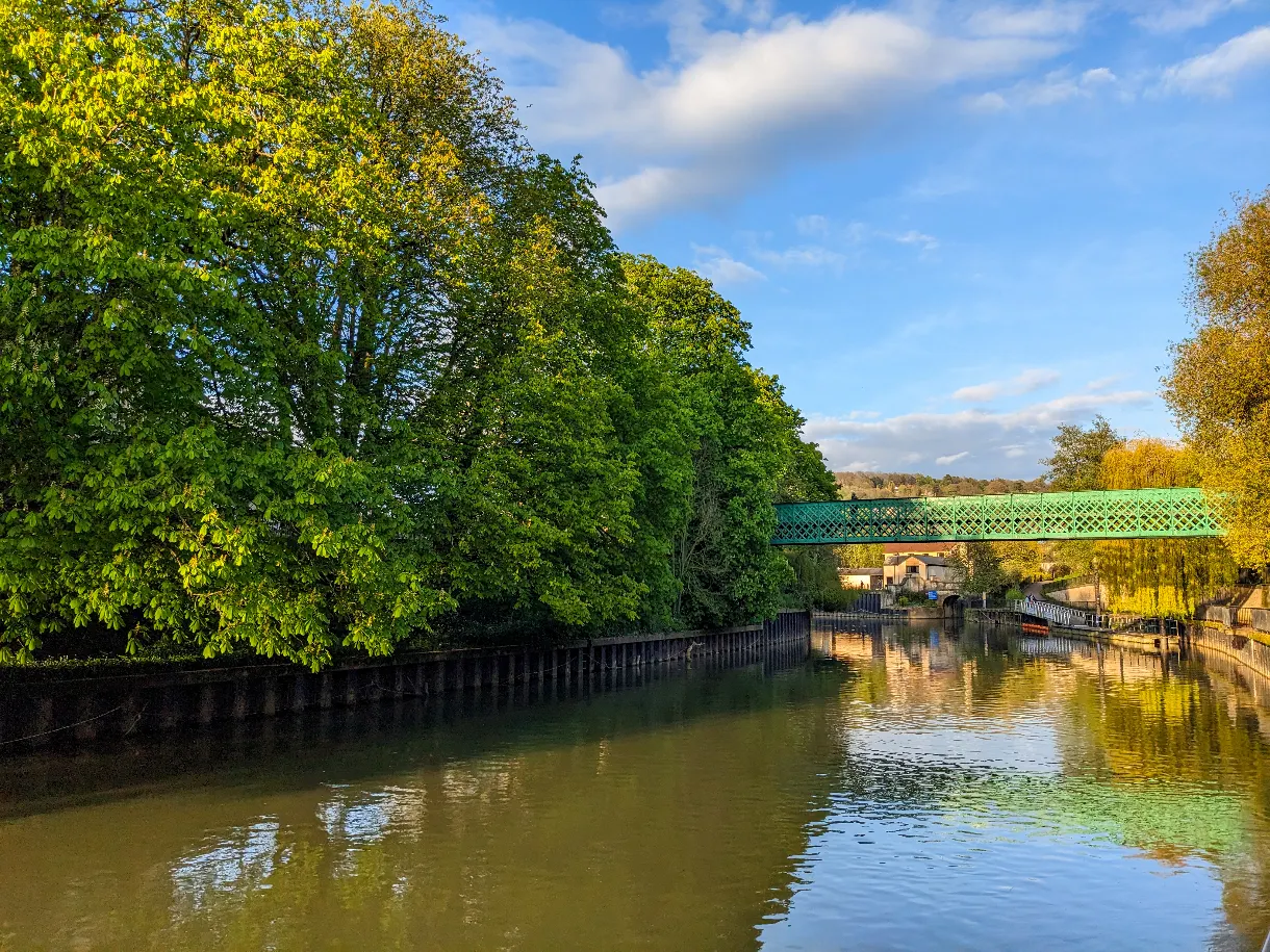 Rivière Avon qui coule dans la ville de Bath avec des arbres verts